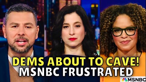 “This Whole Thing STINKS” - MSNBC Guest 😂😂😂