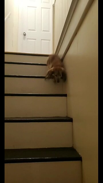 Follow me on YouTube for Uploads and Live