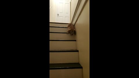 Follow me on YouTube for Uploads and Live