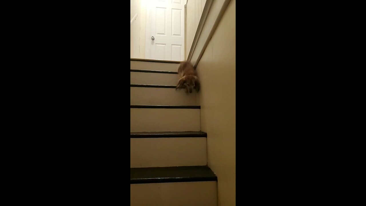 Follow me on YouTube for Uploads and Live