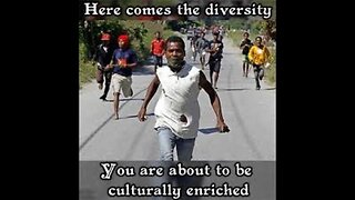 Diversity destroys society