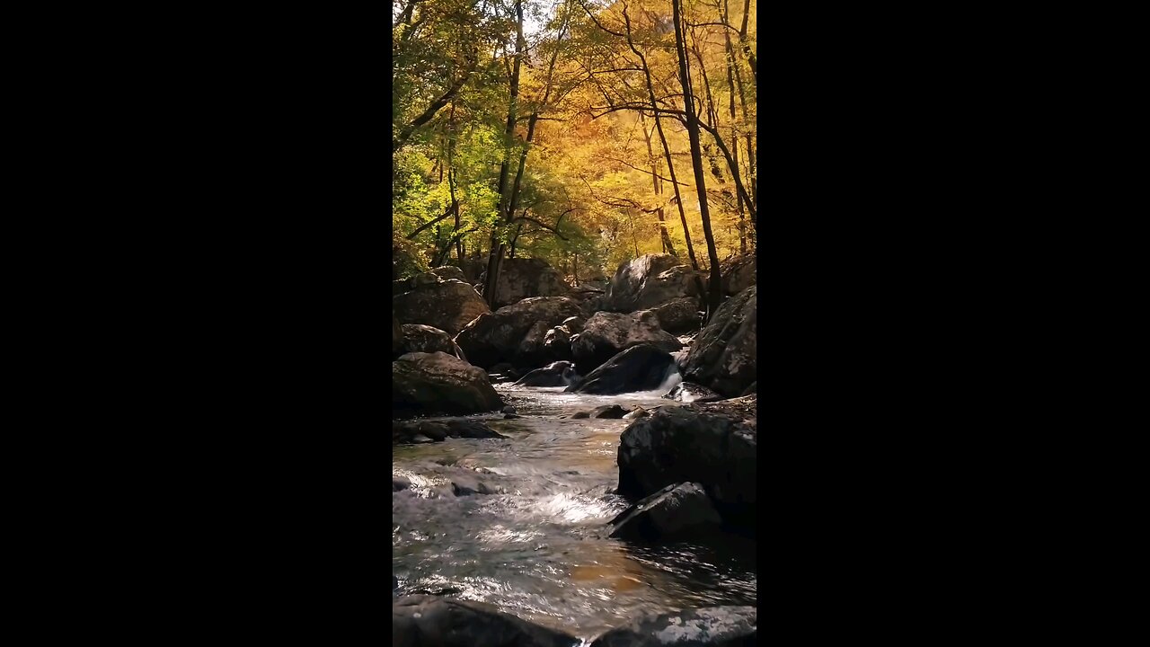 Beautiful river in autumn😍😍