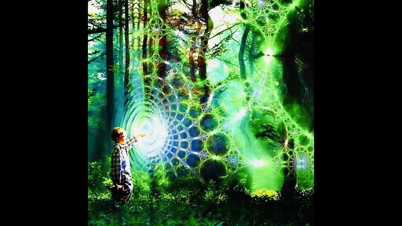 Holographic Universe 4 of 5 ( Dimensional Travel & The Wave Form Universe)