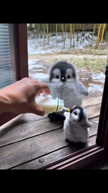 Mother Son LOVE Treat