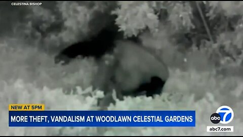 Grave Thieves Strike AGAIN at Historic Civil War Cemetery in Los Angeles County