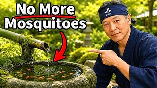 The Japanese Garden Method That Makes Every Mosquito DISAPPEAR — Bees & Pets Love It. DIY (Video)