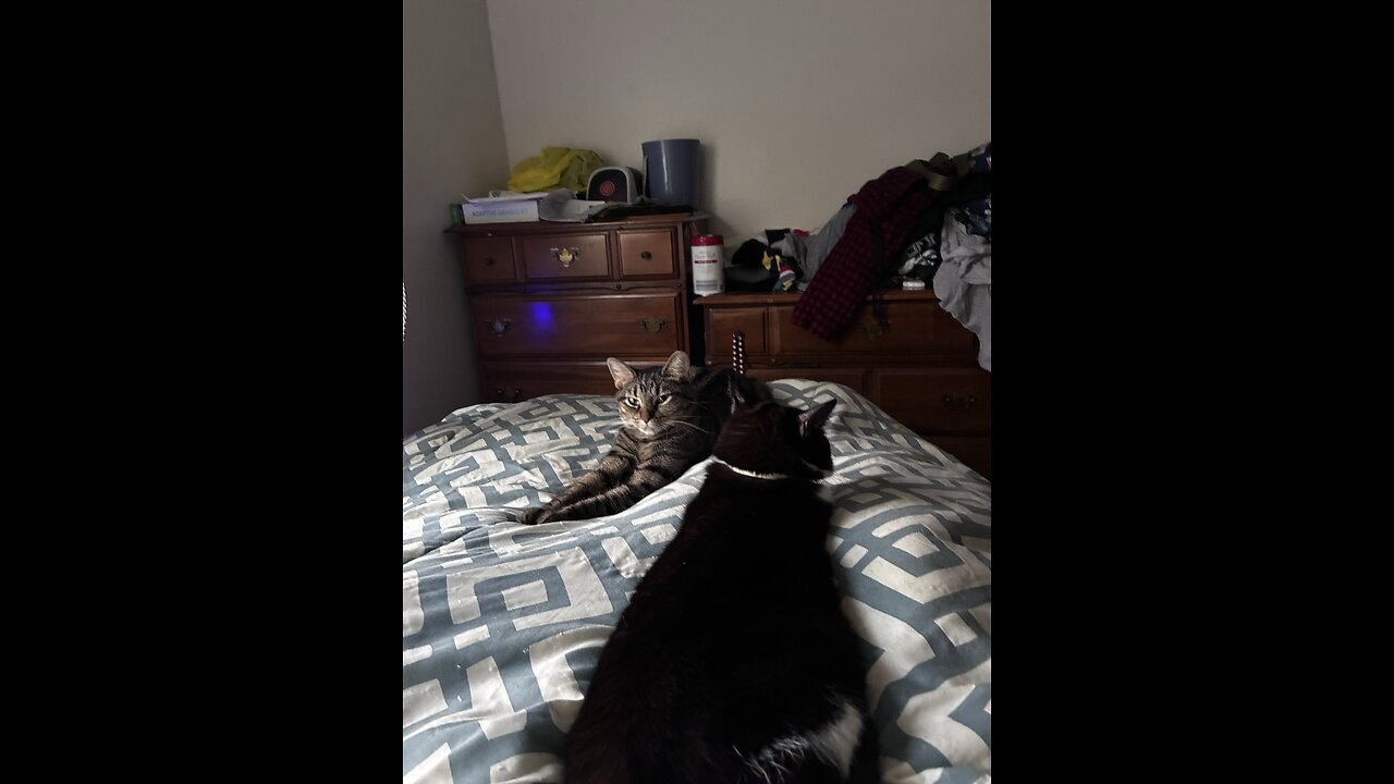 Pearl wants to be a secretary