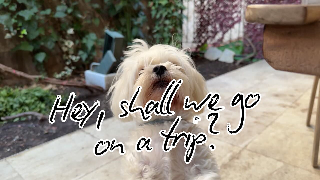 Hey, shall we go on a trip?