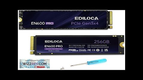 EN600 PRO SSD 256GB PCle 3.0x4 NVMe M.2 2280 Up to 2800MB/s Review