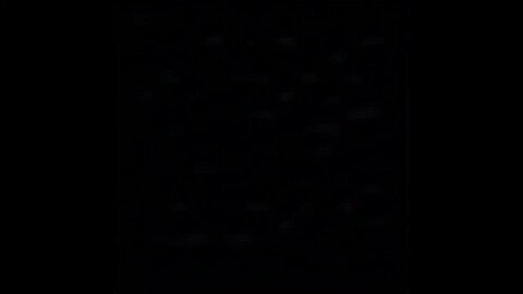 Gov. Walz Says Minnesota Is ‘at War’ with the Federal Government