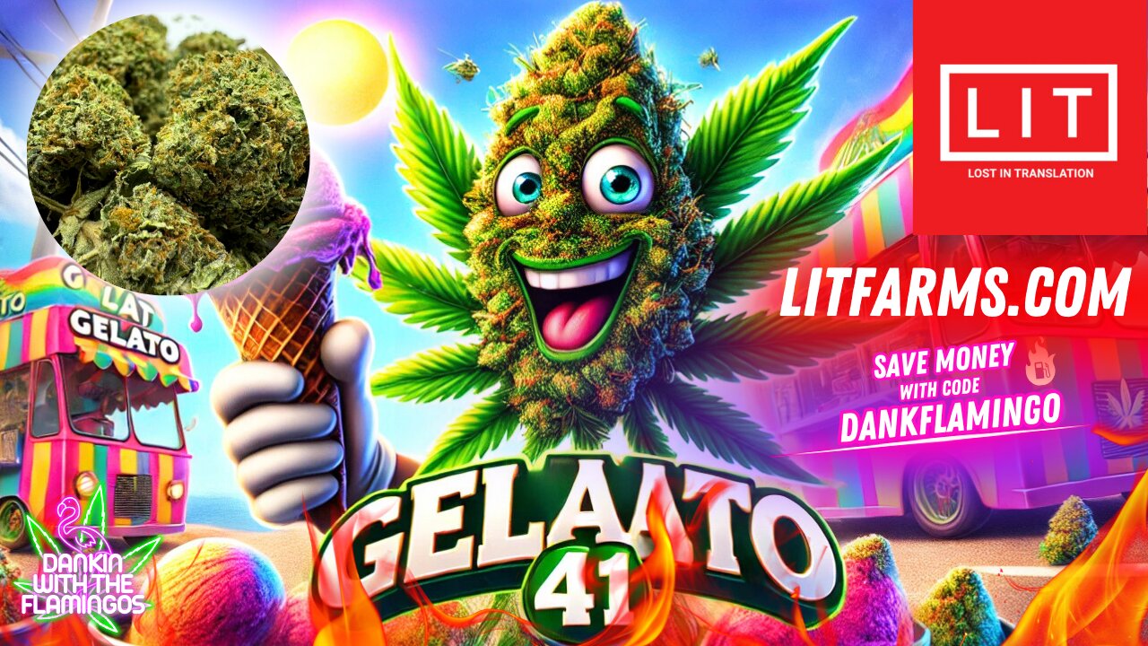Blazing Up Gelato 41 Essential from Lit Farms! Mrs Dank Flamingo Review!!