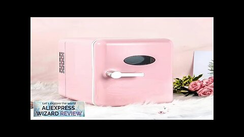 4L Mini Personal Compressor Refrigerator Portable Cooler and Warmer Refrigerator for Skin Review