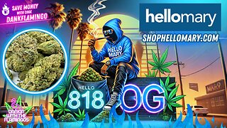 Trying 818 OG Greenhouse Mediums from Shop Hello Mary! Dankin with the Flamingos Review!!