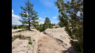 Oregon Trail VIstas: Summer