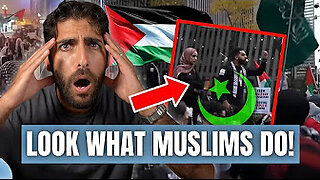What pro-palestinians do when its ceasefire?