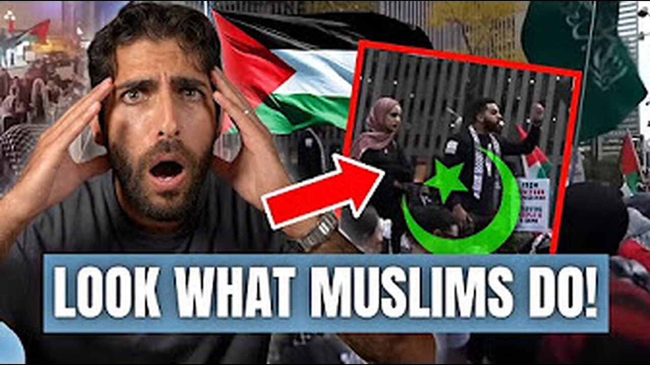 What pro-palestinians do when its ceasefire?