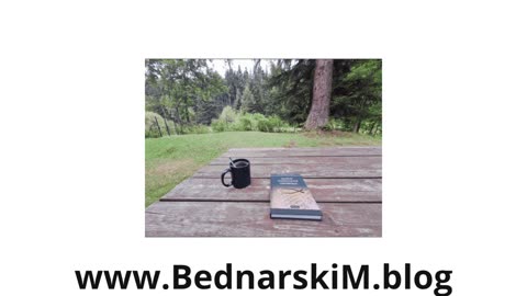 Fifty shades of Bednarski 