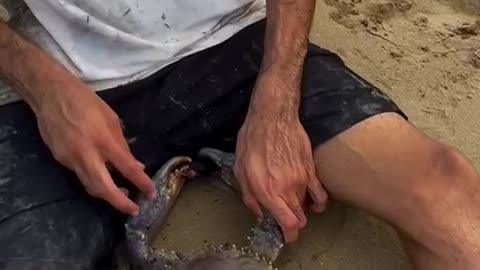 very difficult situation 🥹 LiveLeak │ ➡️ Our 2nd Channel