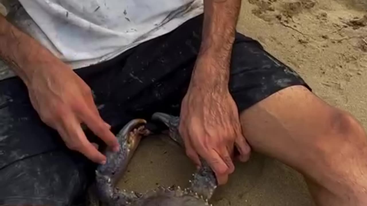 very difficult situation 🥹 LiveLeak │ ➡️ Our 2nd Channel