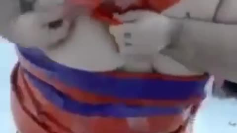 Prof. Dr. Firecracker says..