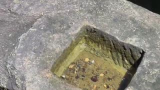 This beauty was just hiding in the night (Phnom Bakheng temple)