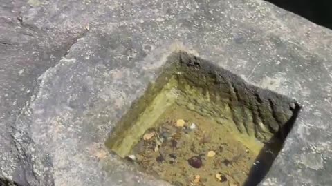 This beauty was just hiding in the night (Phnom Bakheng temple)