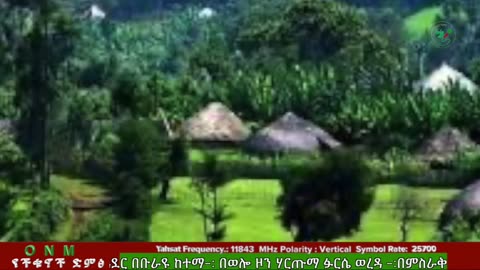 የካቲት 5-2025 ONM-ABO እለታዊ የኦሮሞ ነፃነት ሰራዊትና የኦሮሚያ ውሎ!