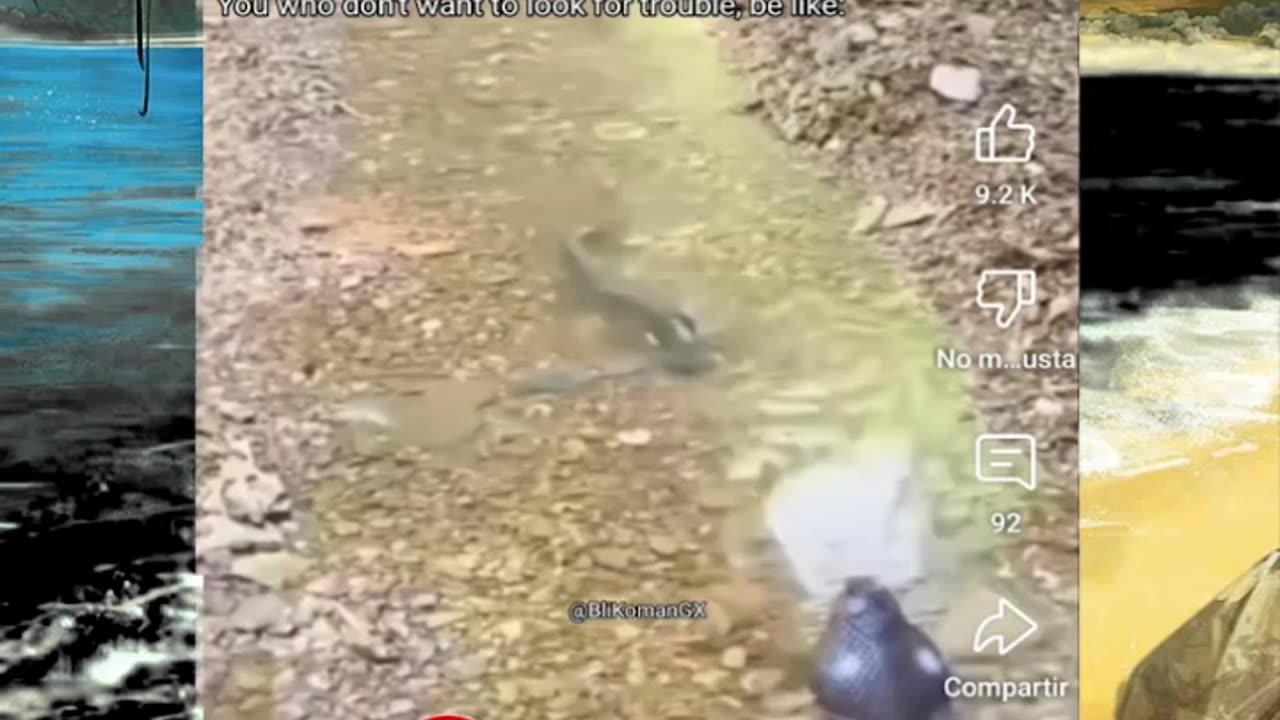 Just shorts videos - Follow 😜😋!!!!!!!