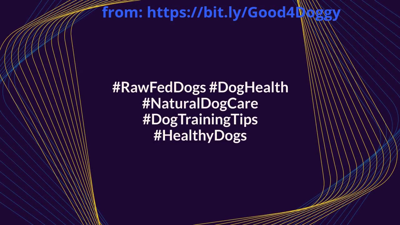 The Best Natural 'Multivitamins' for Raw Fed Dogs You Need to Try!