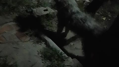 Una lucecita en el cielo