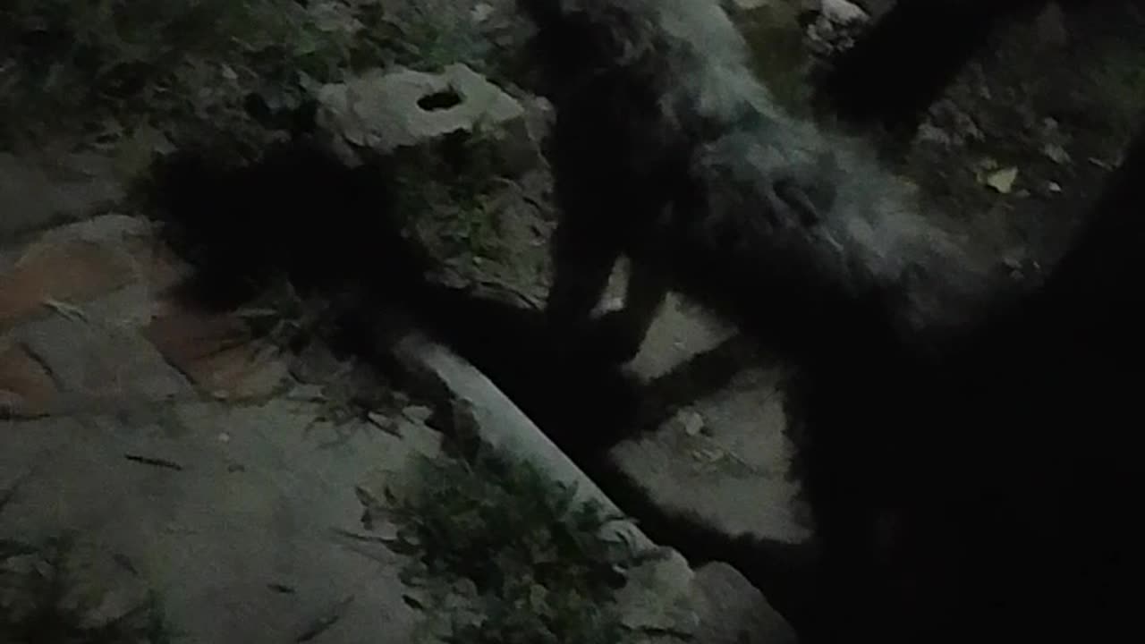 Una lucecita en el cielo