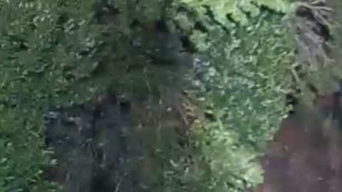 😨📹 They Thought They Were Alone... Ring Camera Captures Mystery! | TheHauntingHour