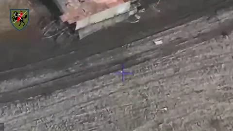 Ukrainian Drone Spots Same Tree Covered Tank From Russian Soldier's Video