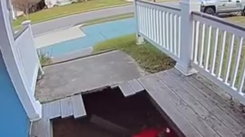 YOUR DELIVERY IS HERE [BUT YOUR PORCH IS GONE