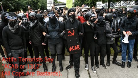 ANTIFA BLM Riots The Doors Peace Frog