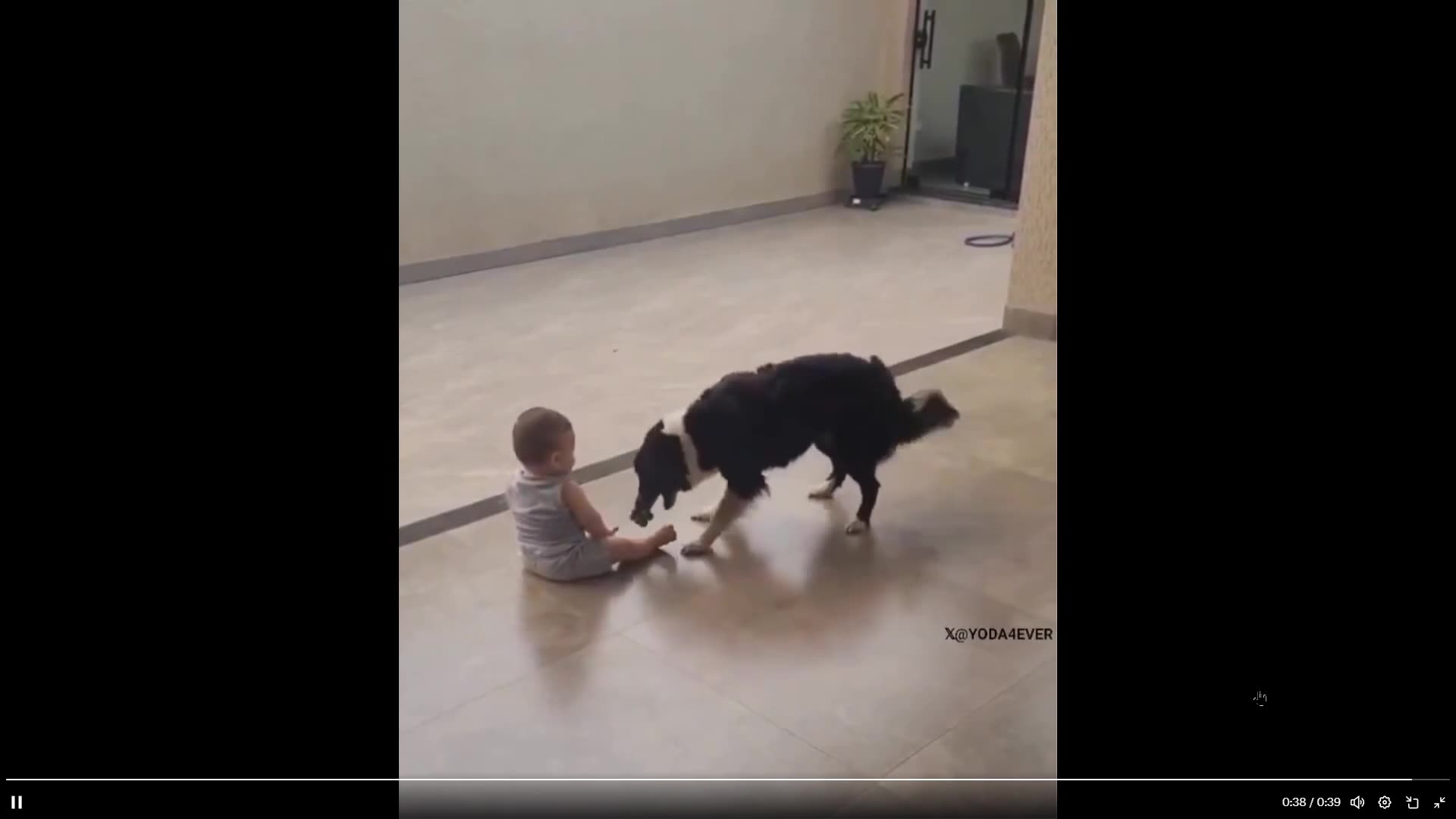 Quick Smile: Mom heard the laughter of the baby then run over to find this