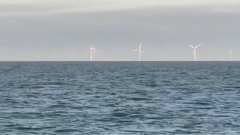Windmolenpark Borssele: Slechts 1% van de 30000 windmolens die in de Noordzee gaan komen!
