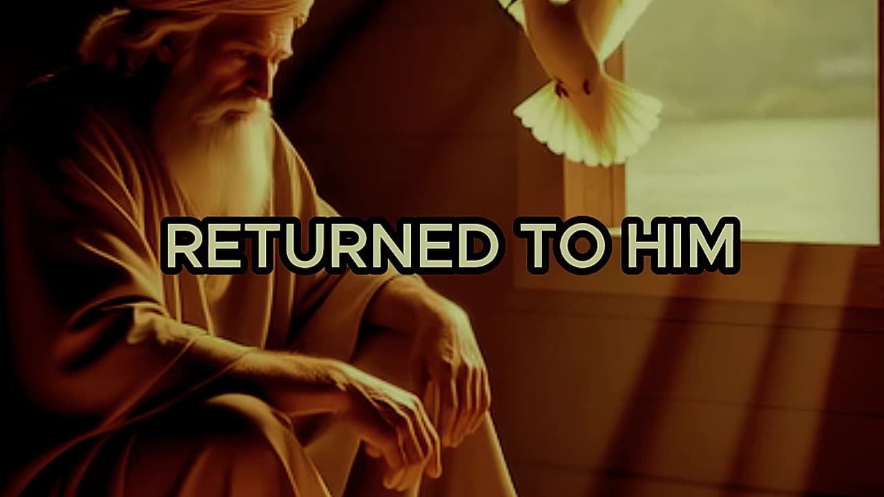 Genesis 8:10-12 Noah and the Flood.