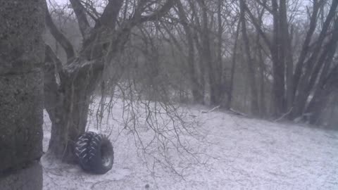 MSN THE ZONE POND5 SNOW *MSN THE ZONE DISCONNECT ROOM NOISE*