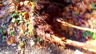 Cold weather camping 11/21-23/25 Video 9: