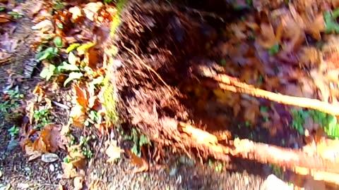 Cold weather camping 11/21-23/25 Video 9: