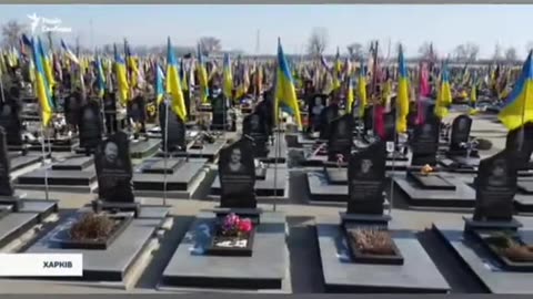 Ukrainian Grave site 😥😥😥😢😢