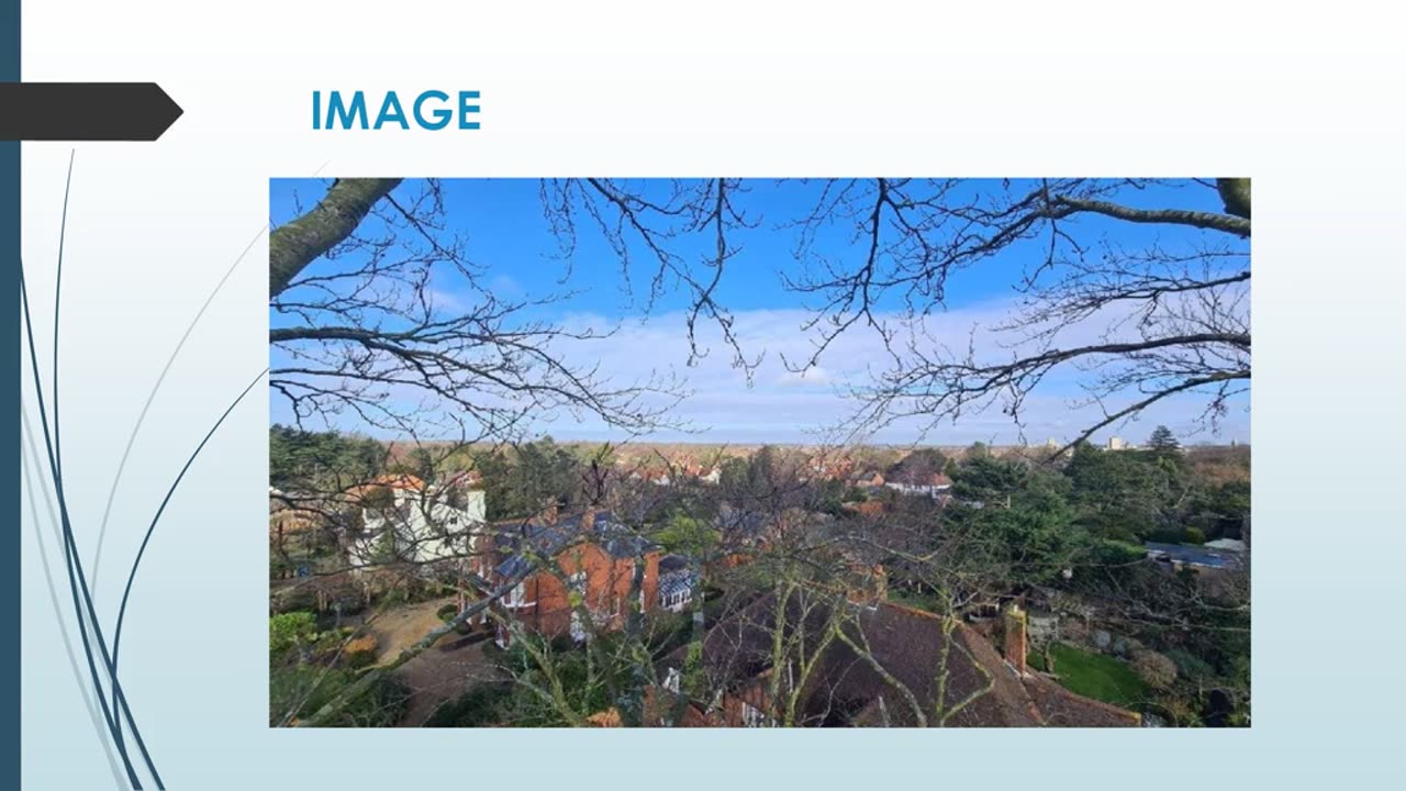 Best Tree Reduction in Kenninghall