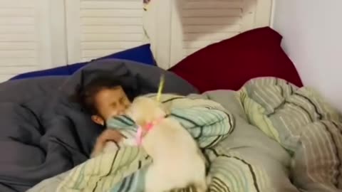 This child went to bed angry because he thought he wouldn't get a birthday gift