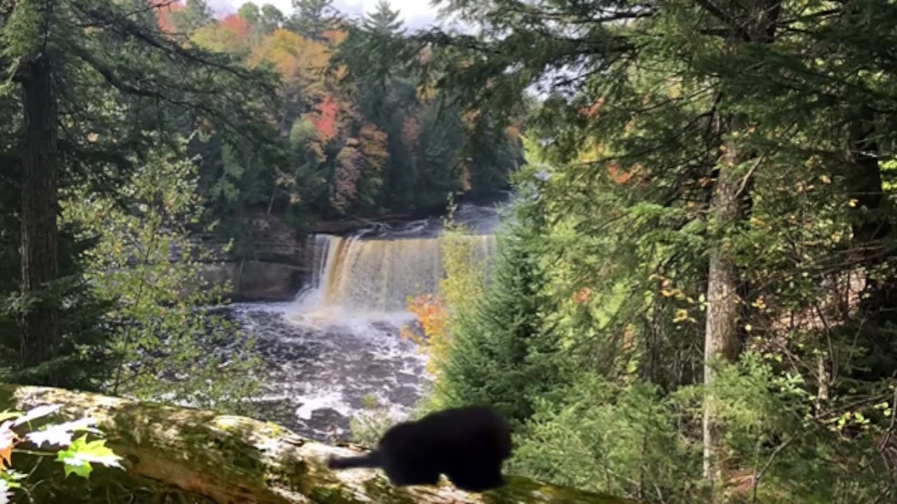 Epic Frolic Day Out with Montez!