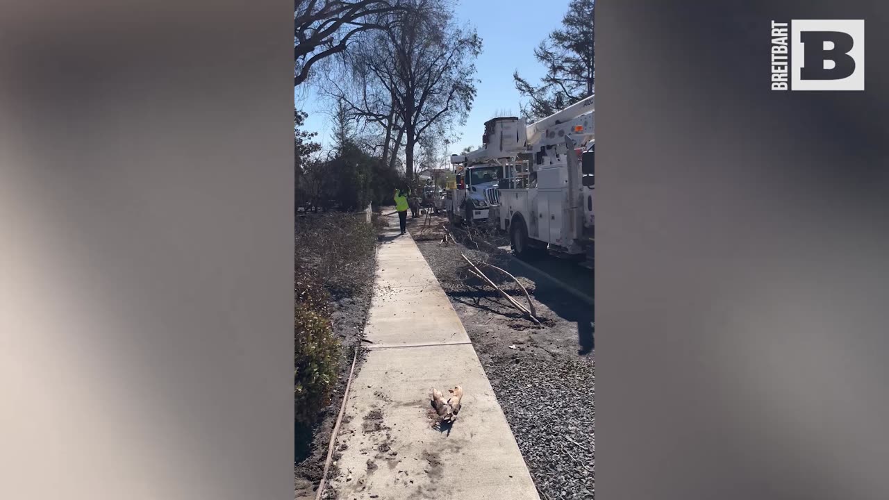 Southern California Edison Subcontractors Cleaning Up Altadena to Restore Power Grid