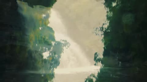 Naturel free video | Nature Background