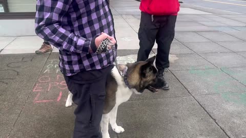 Meanwhile in Portland…
