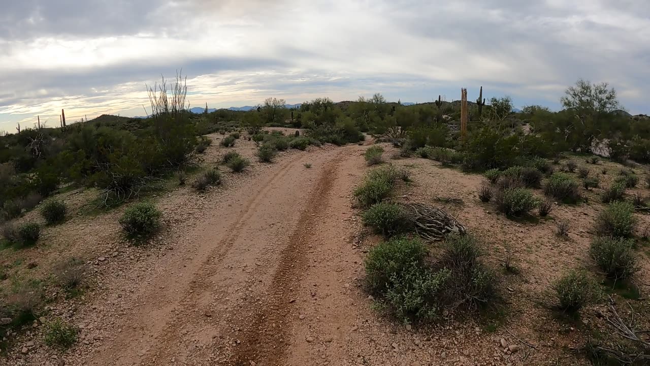 Arizona Offroad
