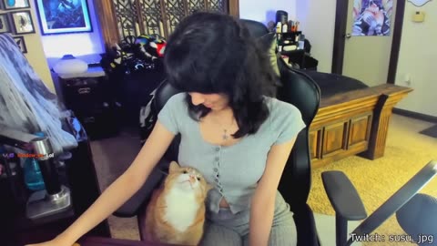 Best cat videos in 10 years